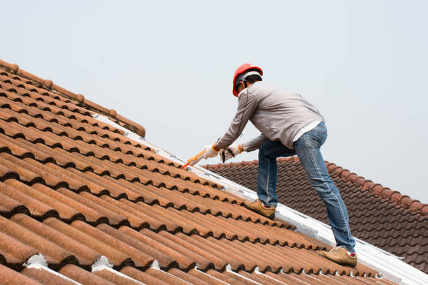 Steel Roofing in Bement, IL